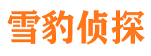 铜鼓侦探公司